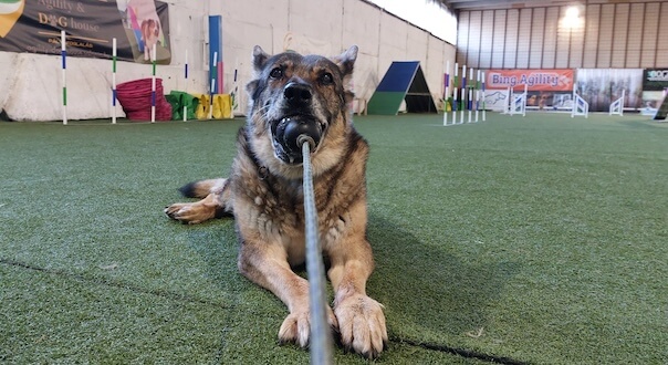 Skill with his ball, photographed on his anniversary