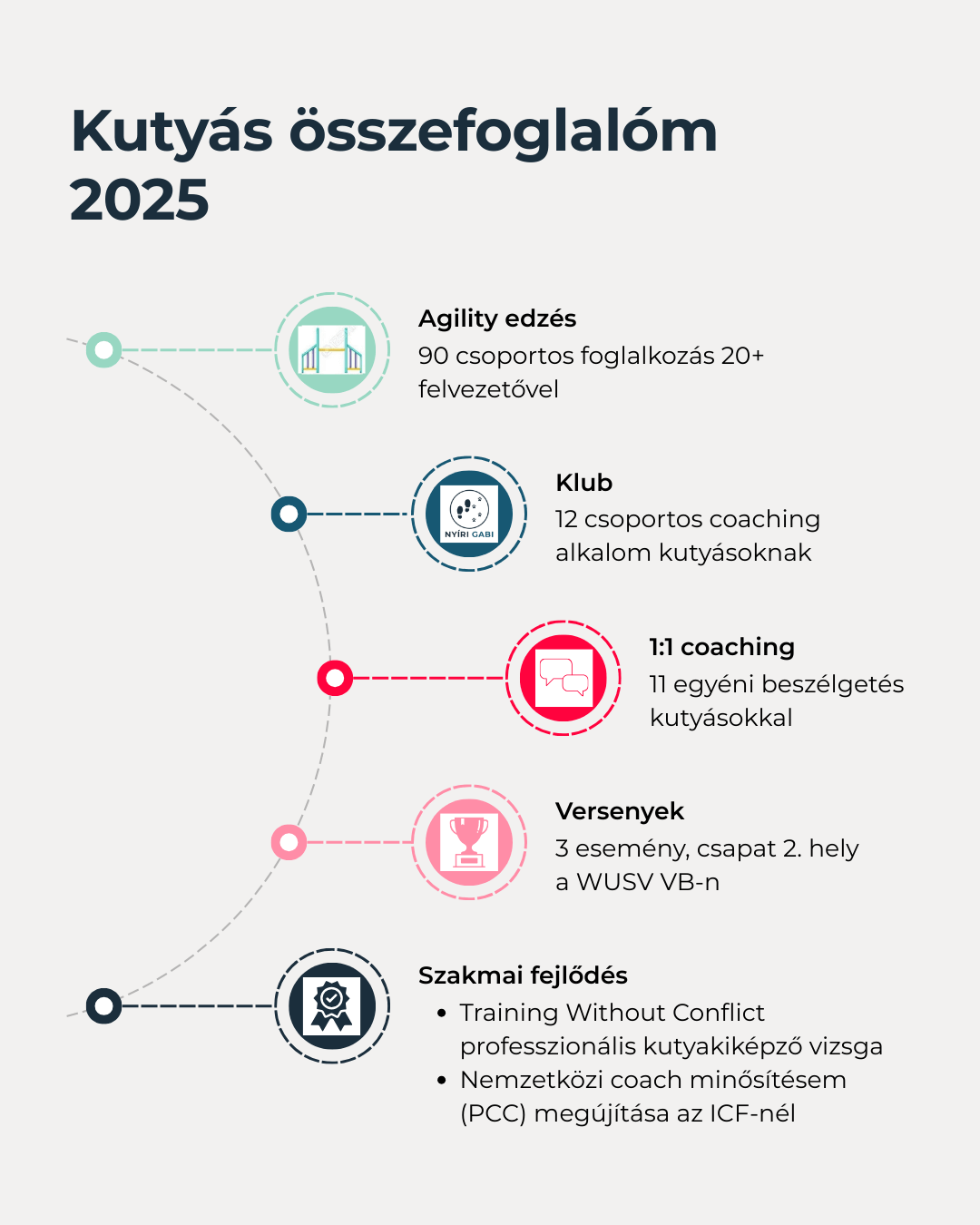 My dog person summary of 2025, made by hand in Canva
